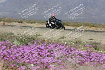 media/Feb-04-2023-SoCal Trackdays (Sat) [[8a776bf2c3]]/Turn 15 Inside Blooming (1050am)/